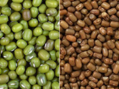 মথ ডালে ক্ষতিকর রং মিশিয়ে মুগ ডাল তৈরি, নিরাপদ খাদ্য কর্তৃপক্ষের সতর্কতা