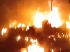 (ভিডিও)মানিকগঞ্জে স্কুলবাসে আগুন, দগ্ধ চালকের অবস্থা আশঙ্কাজনক