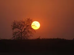 রূপান্তরের ডাকে ডুবল বছরের শেষ সূর্য, স্বাগতম ২০২৬