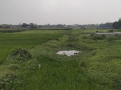 জিয়ার আমলে খনন করা খাল বিলীন, সেচ সংকটে দিশেহারা কৃষক