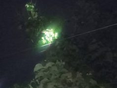 মেঘনা উপজেলায় সেগুন গাছ পড়ে বিদ্যুৎ মূল লাইন বিচ্ছিন্ন