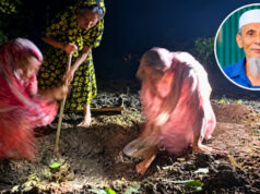 (ভিডিও)সাঈদীর মামলার বাদীর দাফনে আসেনি কেউ, কবর খুঁড়েন স্ত্রী-মেয়ে-বোন