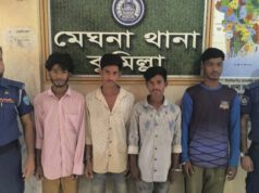 মেঘনায় চুরির অভিযোগে চার যুবক গ্রেপ্তার